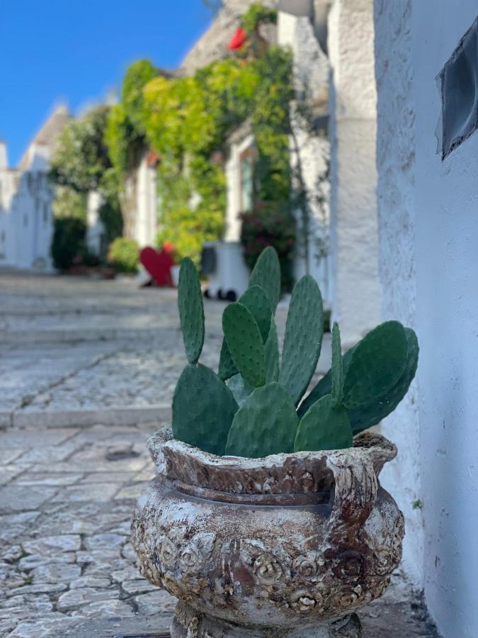 Lamia Mari'- Aia Piccola Villa Alberobello Ngoại thất bức ảnh